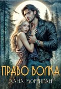 Обложка книги "Право волка"