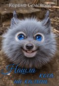Обложка книги "Нашла коса на камень"