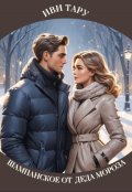 Обложка книги "Шампанское от Деда Мороза"