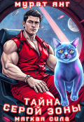 Обложка книги "Тайна серой зоны"