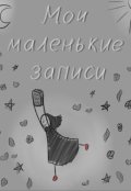 Обложка книги "Мои маленькие записи"