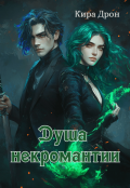 Обложка книги "Душа некромантии"