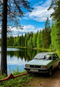 Обложка книги "Фаркоп"