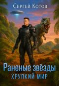 Обложка книги "Раненые звёзды - 2: Хрупкий мир"