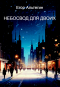 Обложка книги "Небосвод для двоих"
