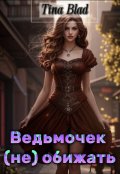 Обложка книги "Ведьмочек (не) обижать!"