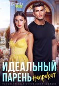 Обложка книги "Идеальный парень напрокат"
