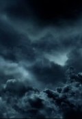 Обложка книги "Почерневшее серебро"