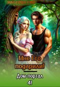 Обложка книги "Мне его подарили! Дом-портал 4"