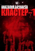 Обложка книги "Кластер-1"