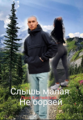 Обложка книги "Слышь малая не борзей"