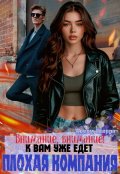 Обложка книги "Внимание, внимание! К вам уже едет плохая компания"