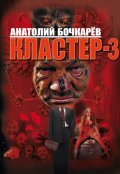 Обложка книги "Кластер-3"