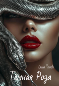 Обложка книги "Тёмная Роза"