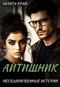 Обложка книги "Айтишник"