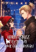 Обложка книги "Новогоднее чудо для красной шапочки"