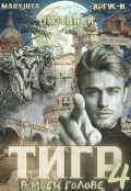 Обложка книги "Тигр в моей голове 4"