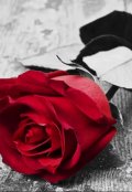 Обложка книги ""Приятный комплимент""