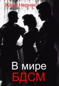 Обложка книги "В мире Бдсм"
