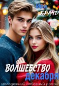 Обложка книги "Волшебство декабря"