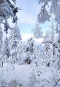 Обложка книги "Я попала в Сети"