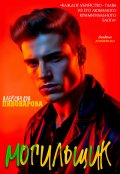 Обложка книги "Могильщик"