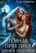 Обложка книги "Тёмная практика. Эльф в подарок"