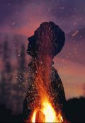 Обложка книги "Гаснущий огонь"