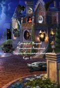 Обложка книги "Магическая академия, подготовительный факультет, курс первый"