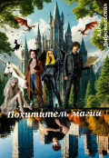 Обложка книги "Похититель магии"