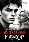 Обложка книги "Бессердечный мажор"