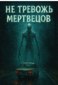 Обложка книги "Не тревожь мертвецов"