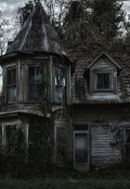 Обложка книги "Визит председателя"