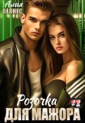 Обложка книги "Розочка для мажора"