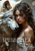Обложка книги "Братья Мятеж"