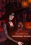 Обложка книги "Пропавшая ведьма"