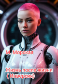 Обложка книги "Жизнь после жизни(инверсия) "