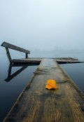 Обложка книги "Средство от одиночества"