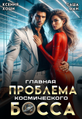 Обложка книги "Главная проблема космического босса"