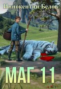 Обложка книги "Маг 11"