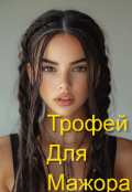 Обложка книги "Трофей для мажора"
