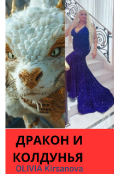 Обложка книги "Дракон и Колдунья ."