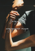 Обложка книги "Защитник подлунного мира"