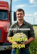 Обложка книги "Девоти Боря"