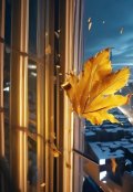 Обложка книги "Несбывшаяся мечта. История 1."
