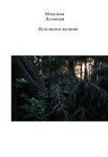 Обложка книги "Исполнение желания"