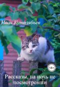 Обложка книги "Рассказы, на ночь не посмотревши"