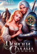 Обложка книги "Дороги Солана"