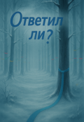 Обложка книги "Ответил... ли? "