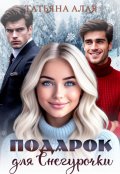 Обложка книги "Подарок для Снегурочки"